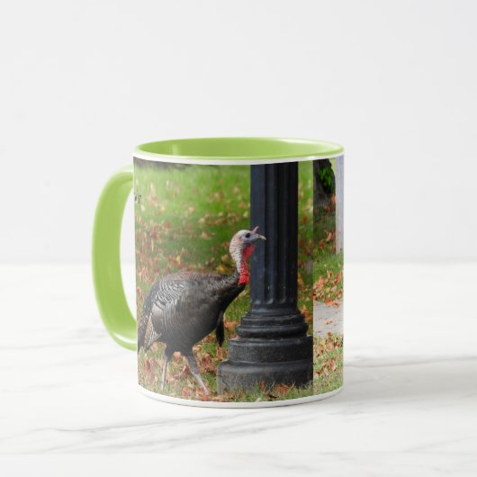 Kevin The Turkey - Old Wethersfield, CT (2 pics) Mok (Voorkant links)