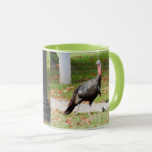 Kevin The Turkey - Old Wethersfield, CT (2 pics) Mok (Voorkant rechts)