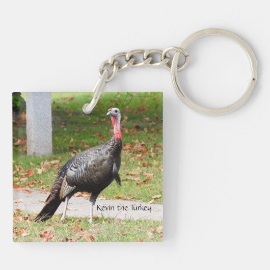 Kevin The Turkey - Old Wethersfield, CT (2 pics) Sleutelhanger (Achterkant)