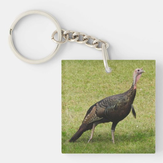 Kevin The Turkey - Old Wethersfield, CT (2 pics) Sleutelhanger (Voorkant)