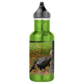 Kevin The Turkey - Old Wethersfield, CT (2 pics) Waterfles (Rechts)