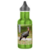 Kevin The Turkey - Old Wethersfield, CT (2 pics) Waterfles (Links)