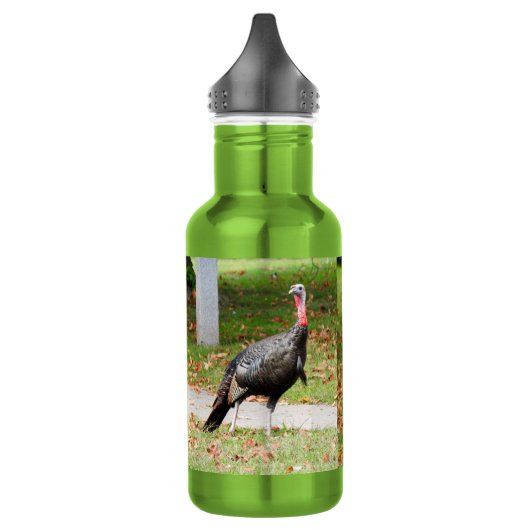 Kevin The Turkey - Old Wethersfield, CT (2 pics) Waterfles (Links)