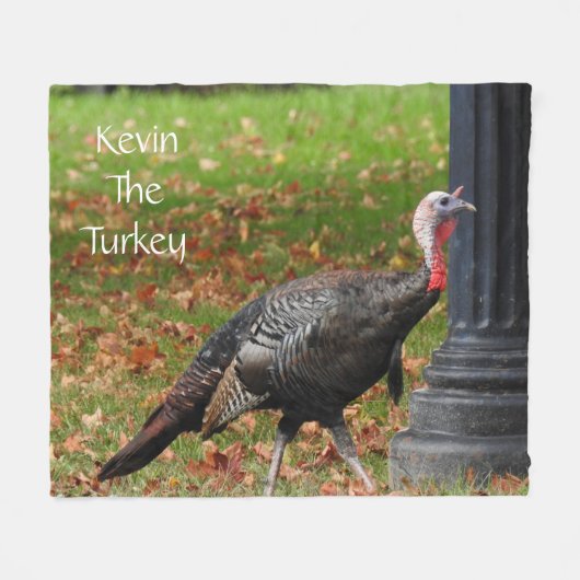 Kevin The Turkey - Old Wethersfield , CT Fleece Deken (Voorkant (Horizontaal))