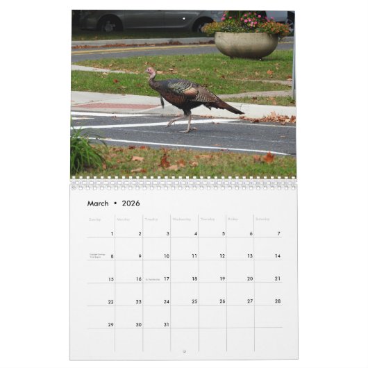 Kevin The Turkey - Old Wethersfield , CT Kalender (Mar 2026)