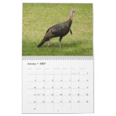 Kevin The Turkey - Old Wethersfield , CT Kalender (Jan 2027)