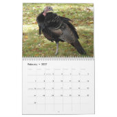 Kevin The Turkey - Old Wethersfield , CT Kalender (Feb 2027)