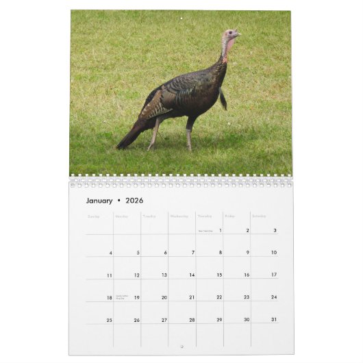 Kevin The Turkey - Old Wethersfield , CT Kalender (Jan 2026)