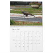 Kevin The Turkey - Old Wethersfield , CT Kalender (Mar 2027)