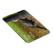 Kevin The Turkey - Old Wethersfield , CT Magneet (Rechterzijde)