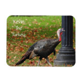 Kevin The Turkey - Old Wethersfield , CT Magneet (Horizontaal)