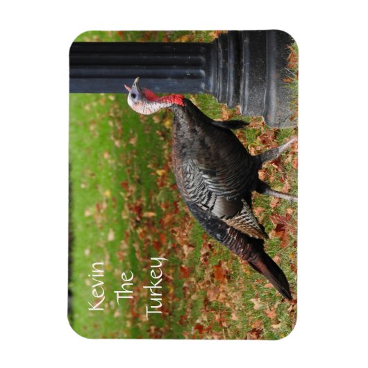 Kevin The Turkey - Old Wethersfield , CT Magneet (Verticaal)