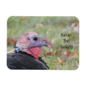 Kevin The Turkey - Old Wethersfield , CT Magneet (Horizontaal)