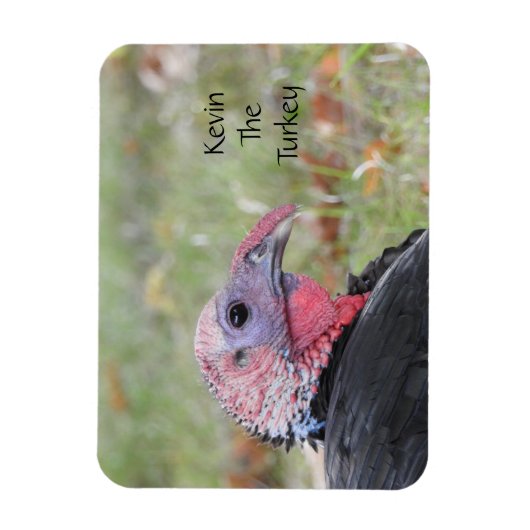 Kevin The Turkey - Old Wethersfield , CT Magneet (Verticaal)