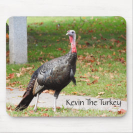 Kevin The Turkey - Old Wethersfield, CT Muismat