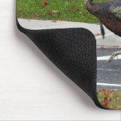 Kevin The Turkey - Old Wethersfield, CT Muismat (Hoek)