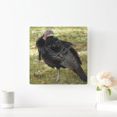Kevin The Turkey - Old Wethersfield , CT Vierkante Klok (Huis)