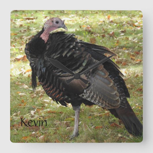 Kevin The Turkey - Old Wethersfield , CT Vierkante Klok (Voorkant)
