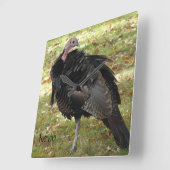 Kevin The Turkey - Old Wethersfield , CT Vierkante Klok (Hoek)