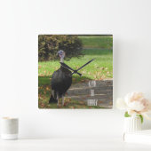 Kevin The Turkey - Old Wethersfield , CT Vierkante Klok (Huis)