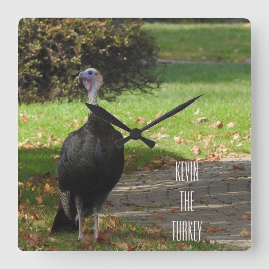 Kevin The Turkey - Old Wethersfield , CT Vierkante Klok (Voorkant)