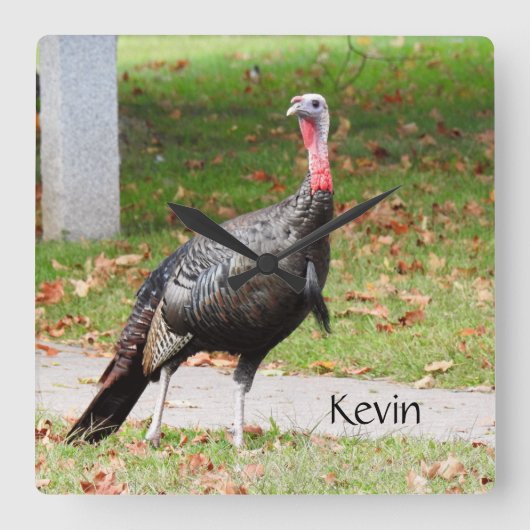 Kevin The Turkey - Old Wethersfield , CT Vierkante Klok (Voorkant)