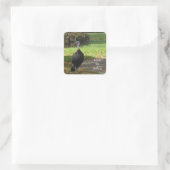 Kevin The Turkey - Old Wethersfield , CT Vierkante Sticker (Tas)