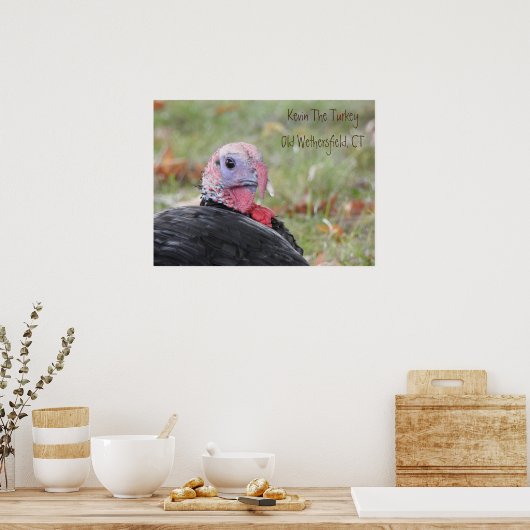 Kevin The Turkey - Old Wethersfield Poster (Keuken)