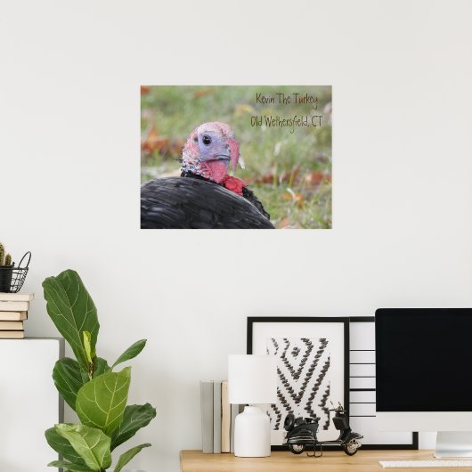 Kevin The Turkey - Old Wethersfield Poster (Thuiskantoor)