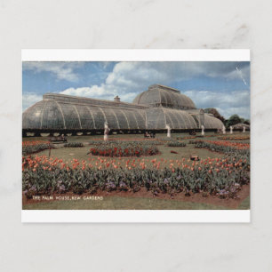 Kew Gardens Palm House Vintage Bloemstuk Briefkaart