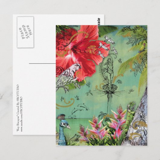 Key Biscayne Briefkaart (Voorkant / Achterkant)