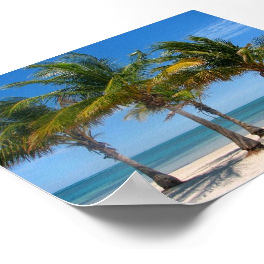 Key Biscayne palms Poster (Hoek)