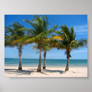 Key Biscayne palms Poster