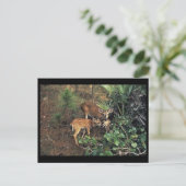 Key Deer Briefkaart (Staand voorkant)