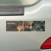 Key Deer Bumpersticker (Op auto)