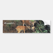 Key Deer Bumpersticker (Voorkant)