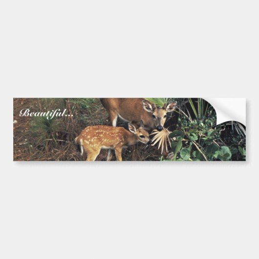 Key Deer Bumpersticker (Voorkant)