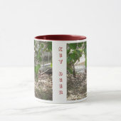 Key Deer Mok (Midden)