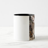 Key Deer Mok (Center)