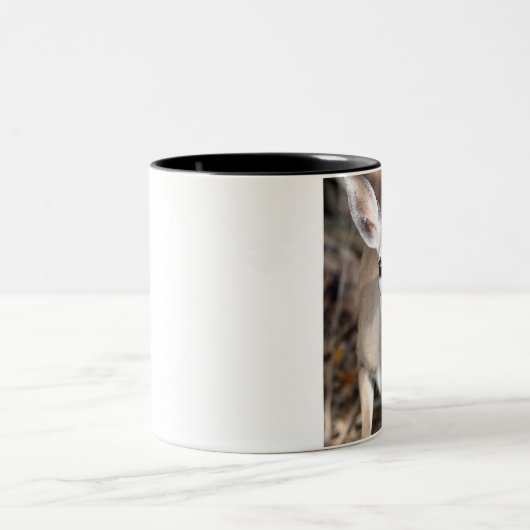 Key Deer Mok (Center)