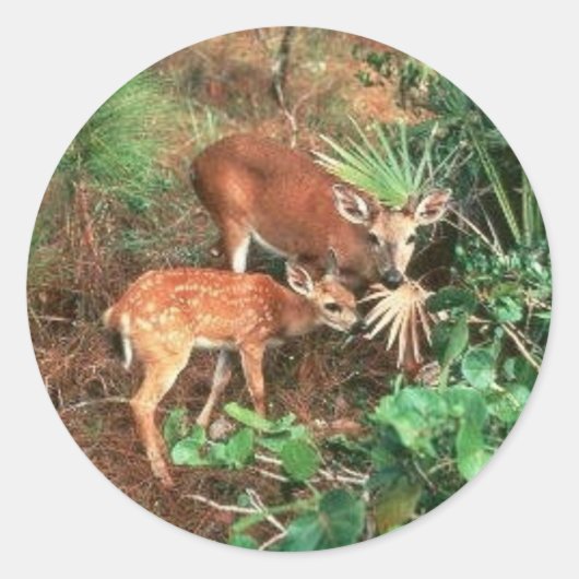 Key Deer Ronde Sticker (Voorkant)