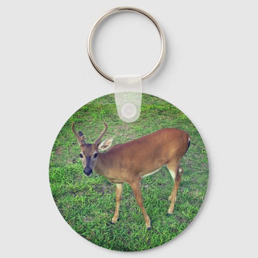 Key Deer Sleutelhanger (Voorkant)