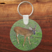 Key Deer Sleutelhanger (Achterkant)