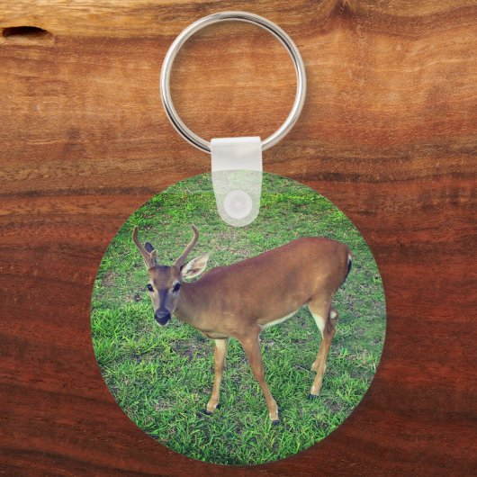 Key Deer Sleutelhanger (Voorkant)