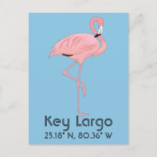 Key Largo FL toetsen Flamingo Lengtegraad Briefkaart