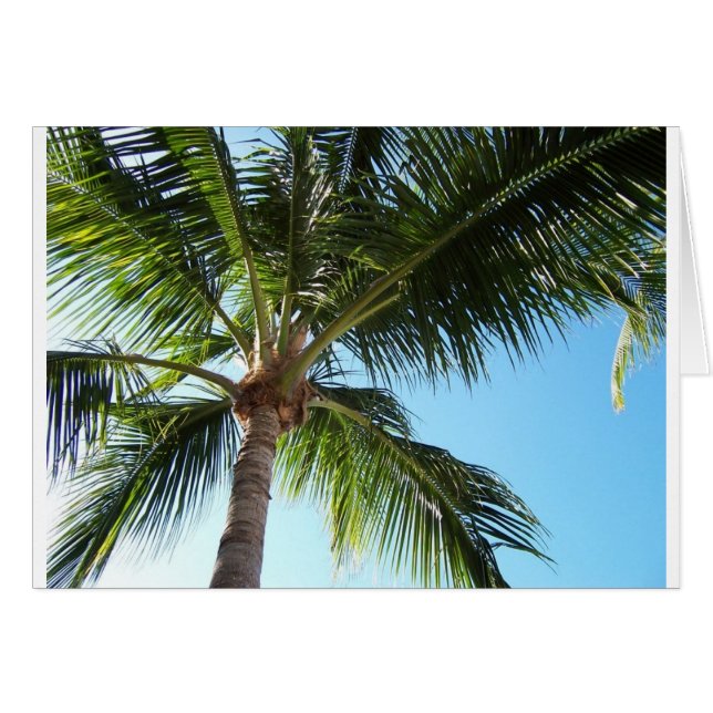 Key West (Voorkant Horizontaal)