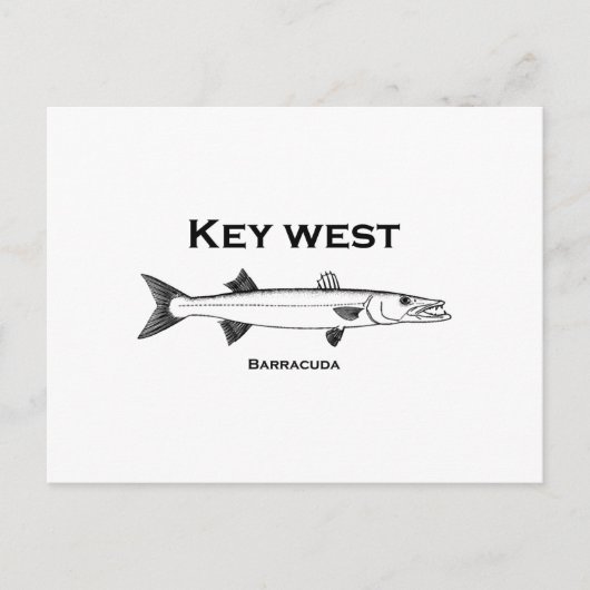 Key West Barracuda Briefkaart (Voorkant)
