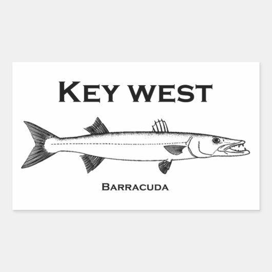 Key West Barracuda Rechthoekige Sticker (Voorkant)