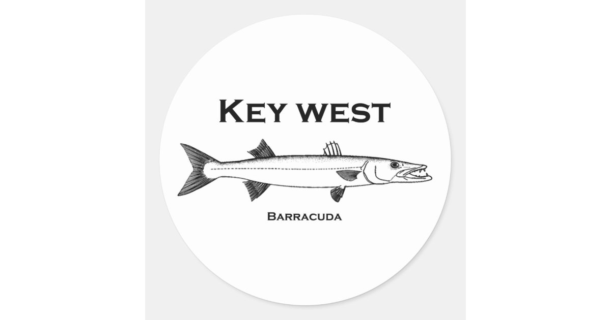 Key West Barracuda Ronde Sticker 