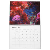 Key West Beauty van Scott S. Jones Kalender (Feb 2026)